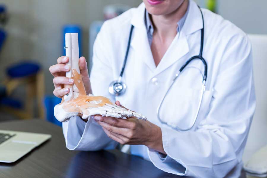 physiotherapist holding foot model