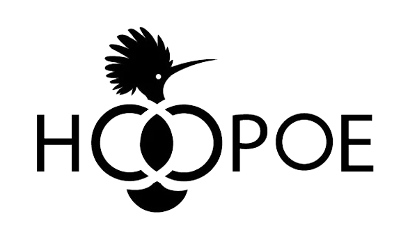 Hoopoe shoe logo
